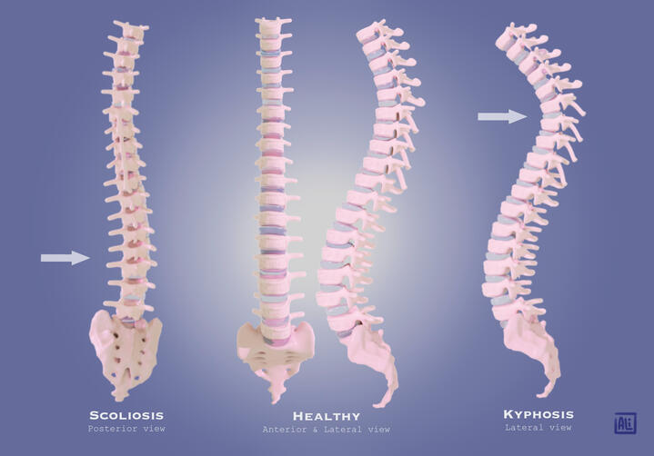 Maya & Photoshop 2022