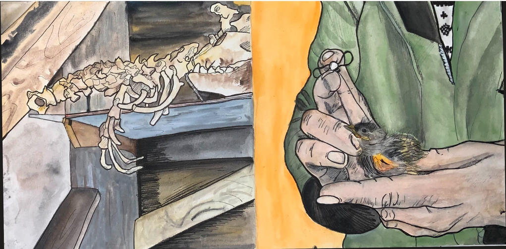 Ink and Gouache Study Booklet Example